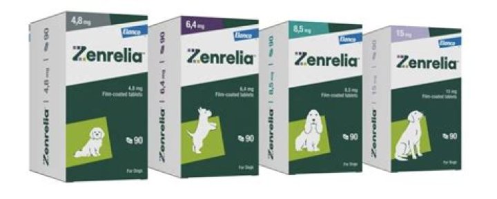What dogs are used for drugs?