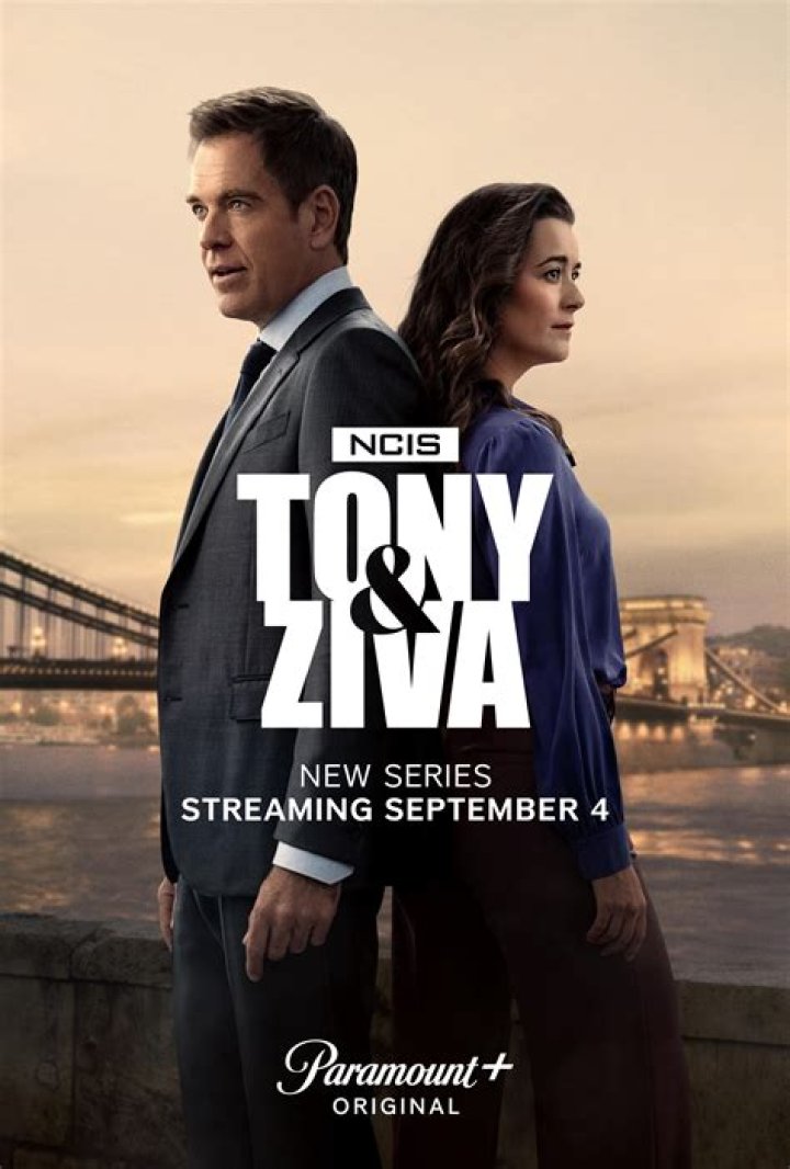 What episode does Ziva find out she's pregnant?