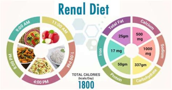 What foods can repair kidneys?