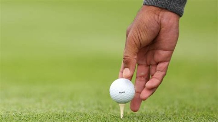 What golf gloves does Tiger Woods use?