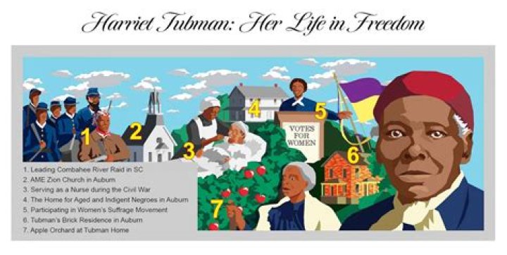 What happened to Harriet Tubman's head?