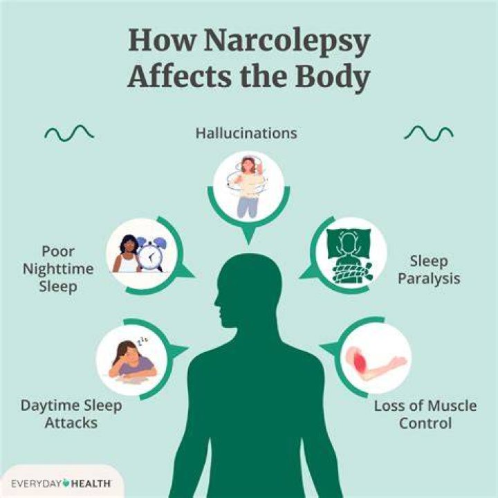 What happens during a narcoleptic episode?