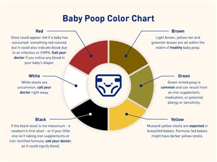 What happens if a cat doesn't poop for 4 days?
