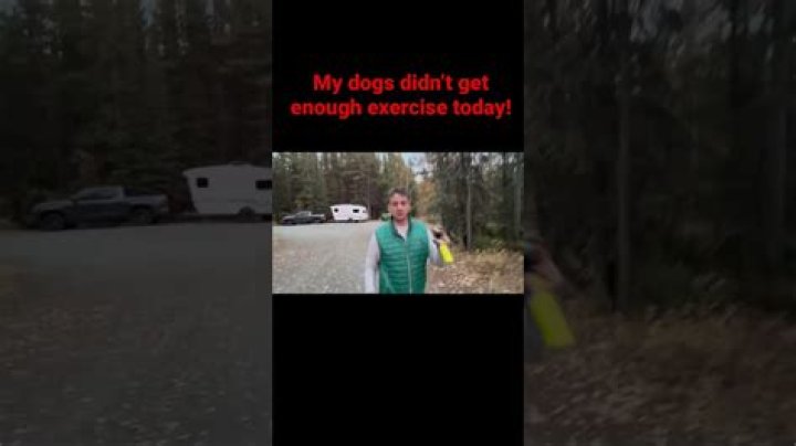 What happens if a puppy doesn't get enough exercise?
