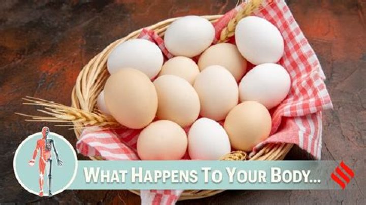 What happens if you eat 12 eggs a day?