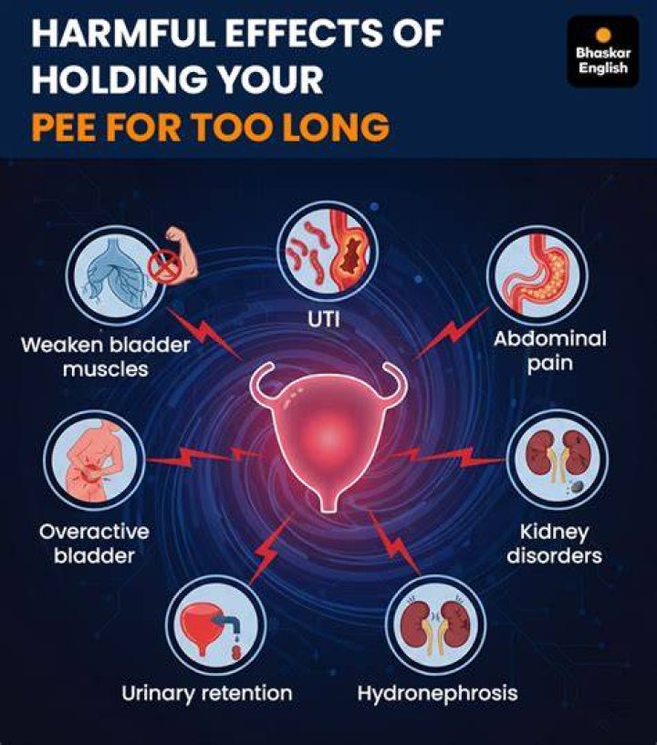 What happens if you hold your pee for too long?