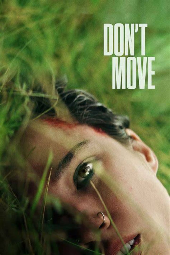 What happens if you move a turtle?
