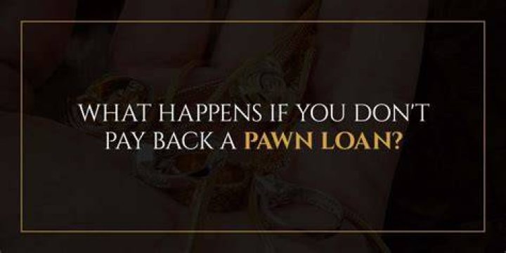 What happens if you pawn something and don't pay?