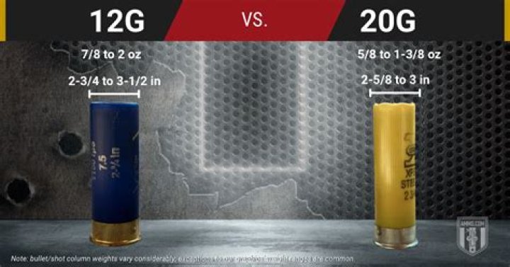 What happens if you put a 20 gauge shell in a 12-gauge shotgun?