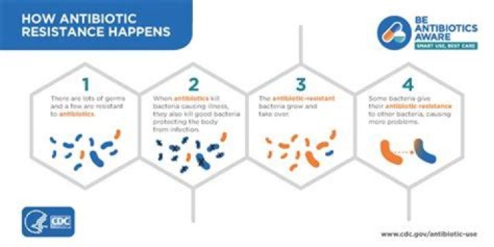 What happens if you skip antibiotics for a day?