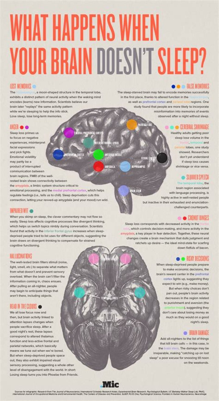 What happens to your brain when you don't sleep?