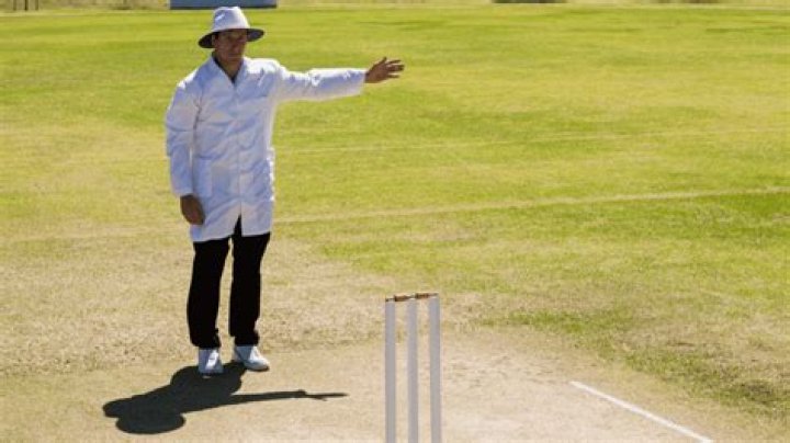 What height is a no ball in cricket?
