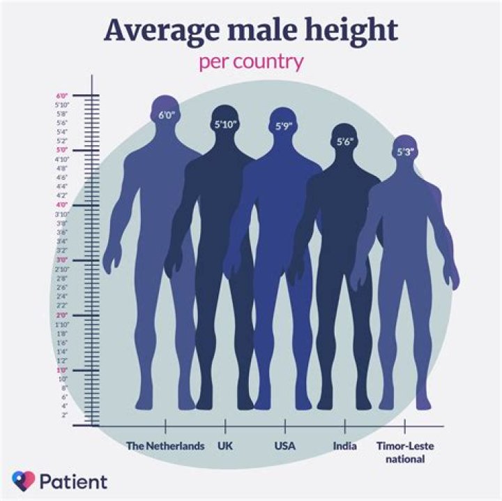 What height is most attractive?