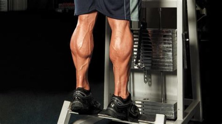 What helps tendons heal faster?