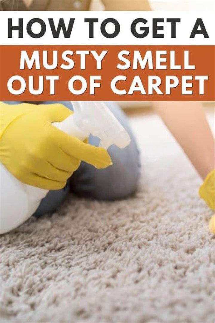 What home remedy gets urine smell out of carpet?