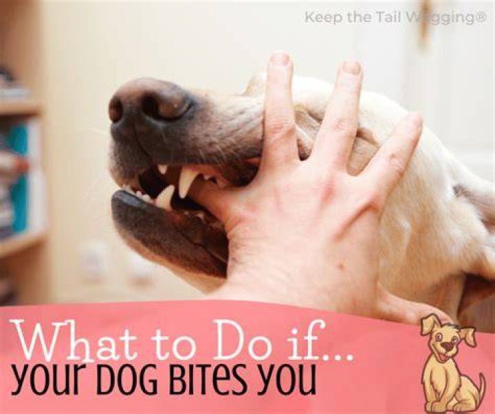 What if my dog bites me?