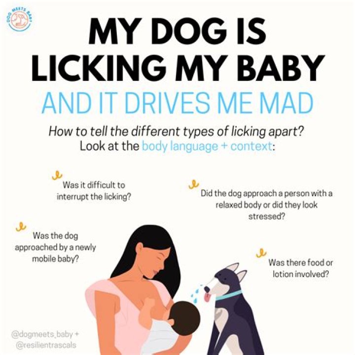 What if my dog swallows a ball?