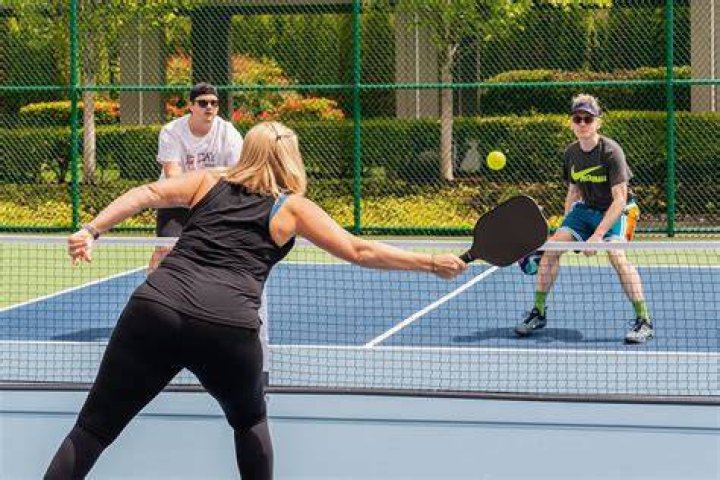 What is a 2.0 pickleball player?