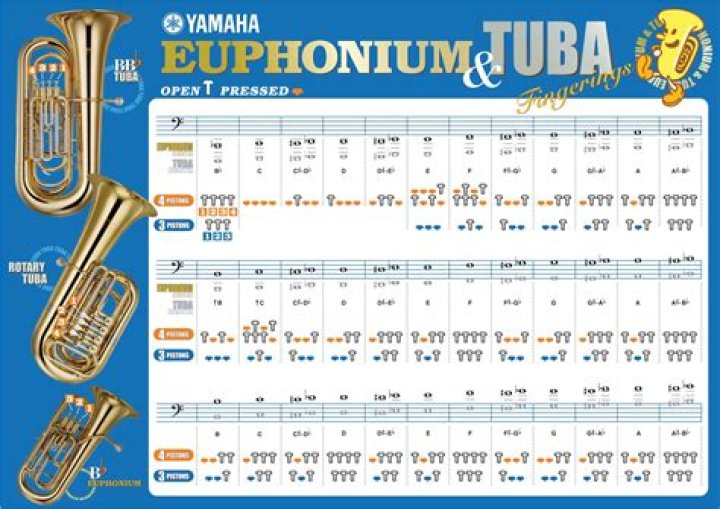 What is a BB flat tuba?