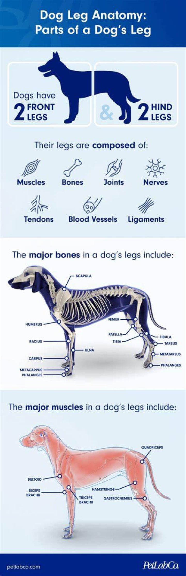 What is a dogleg left?
