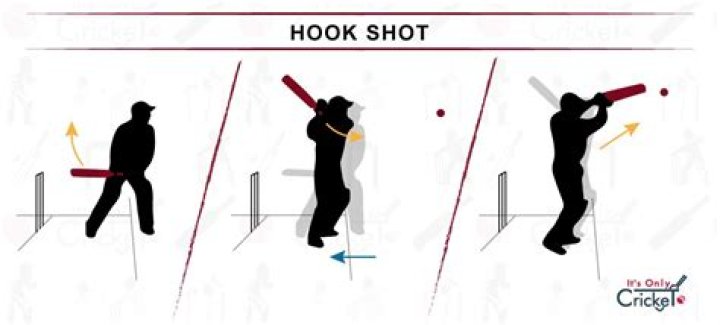 What is a hook in cricket?