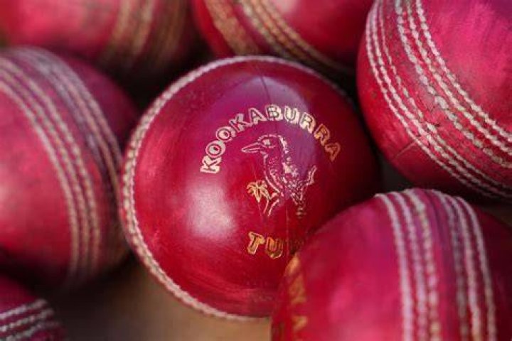 What is a Kookaburra cricket ball made of?