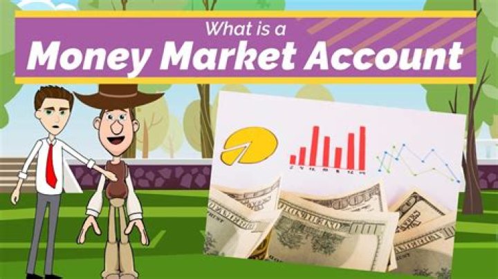What is a money cat?