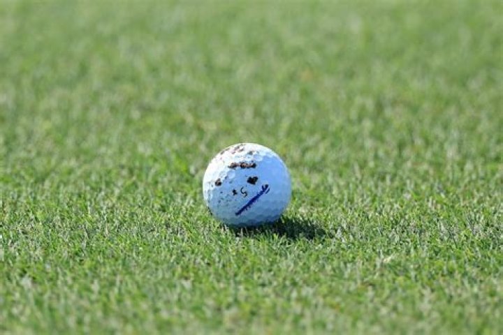 What is a mudball?