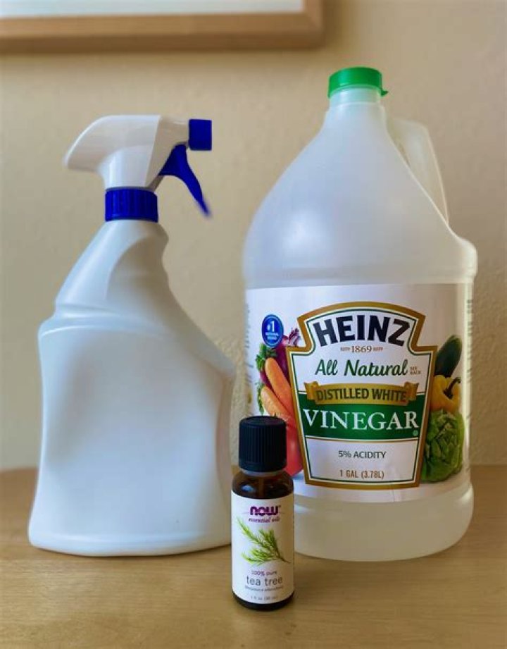 What is a natural deterrent for rats?