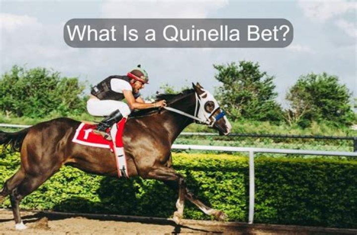 What is a quinella bet?