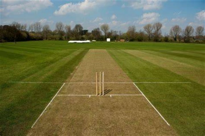 What is a slow wicket?