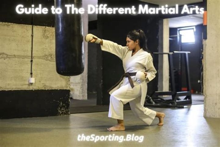 What is a soft style martial arts?