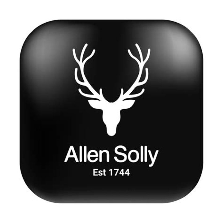 What is Allen Solly logo?