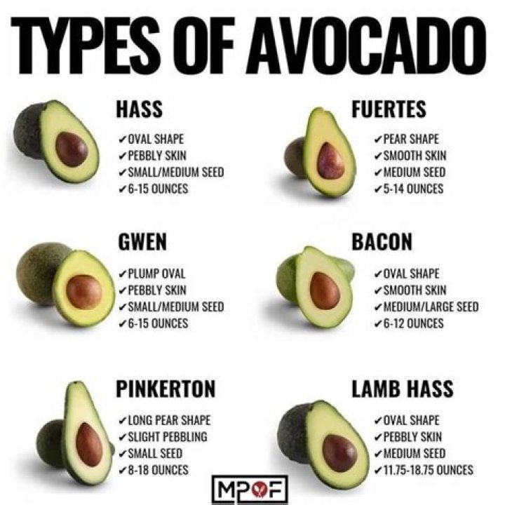 What is an avocado body shape?