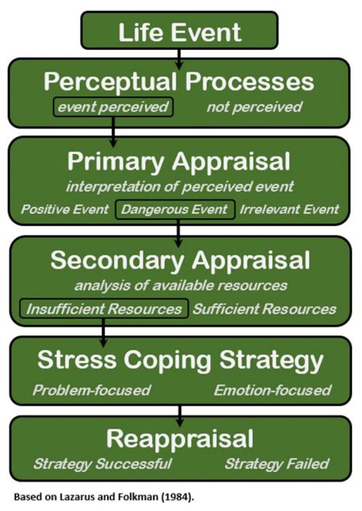 What is an example of a stressor in psychology?