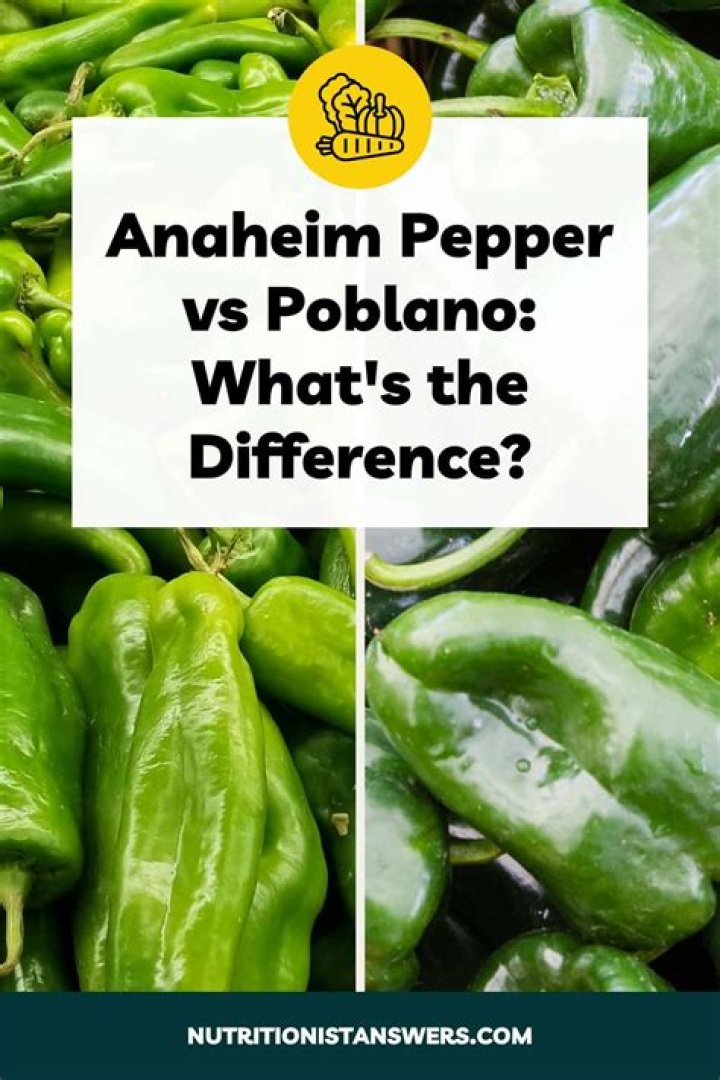 What is another name for pickleball?