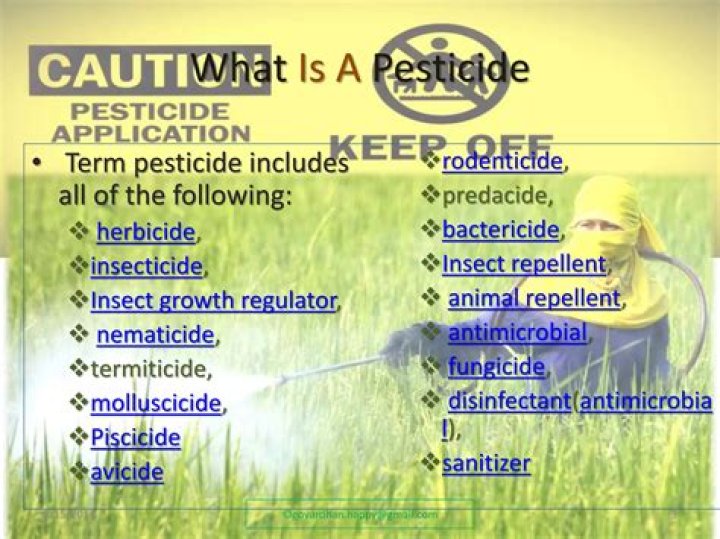 What is Avicide poison?