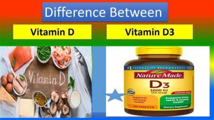 What is better D1 or D3?