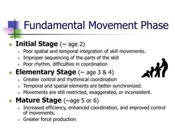 What is fundamental movement phase?