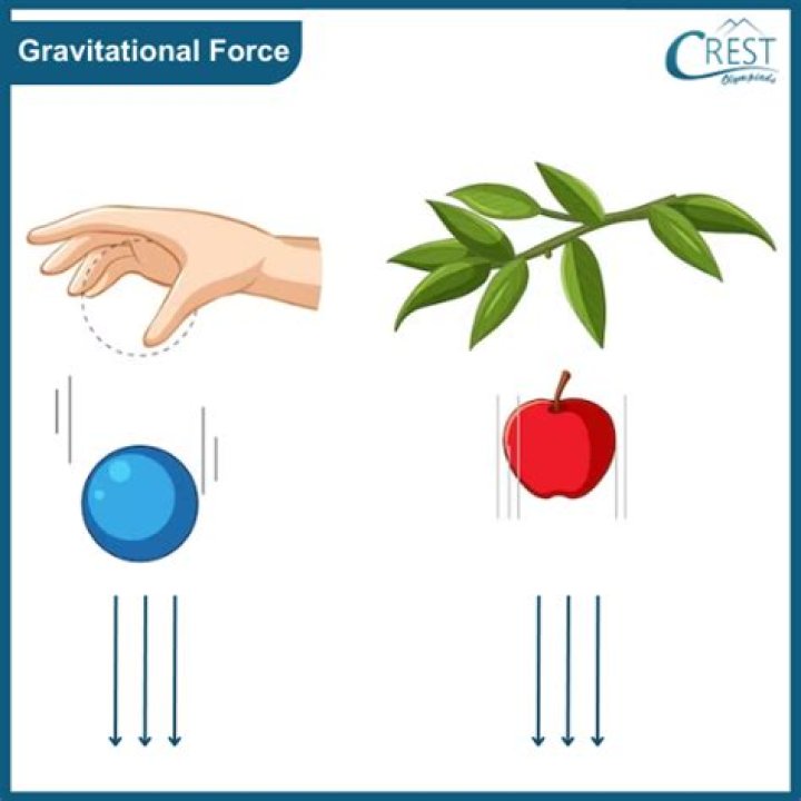 What is gravity in Class 4?