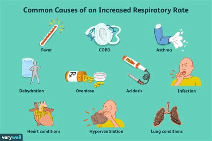 What is high respiratory rate called?