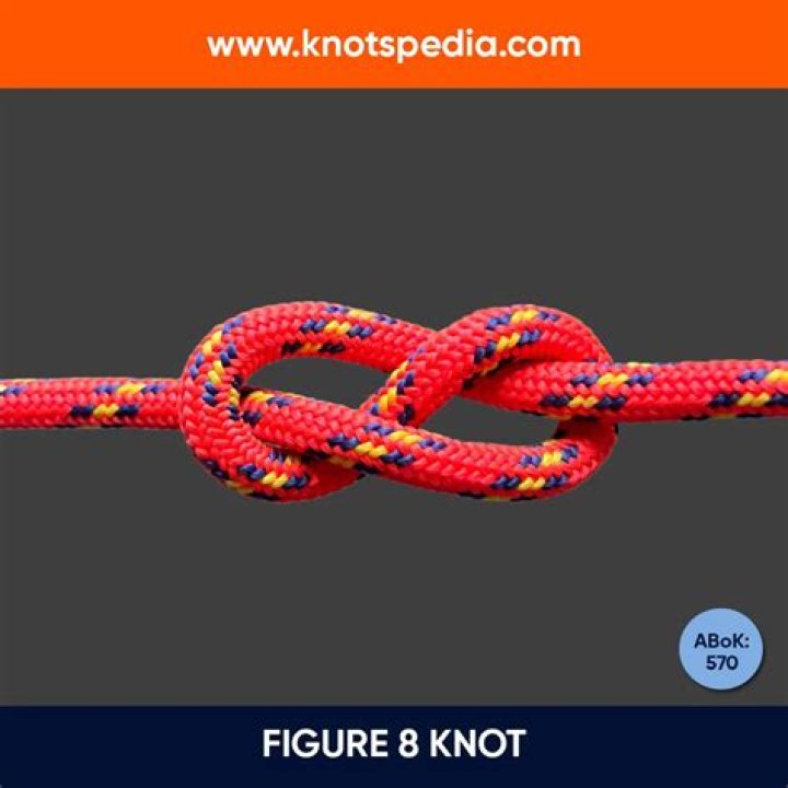 What is included in Figure 8 Basic?