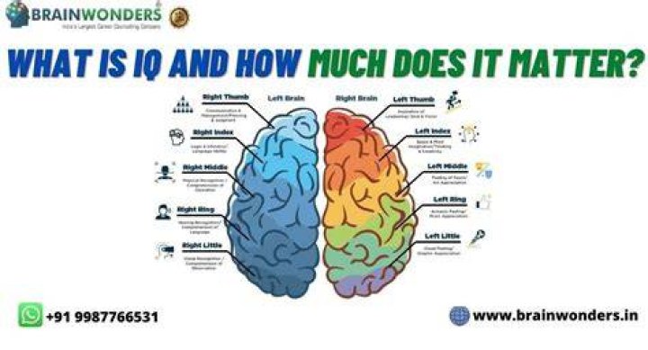 What is IQ in psychology?