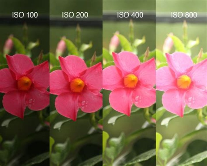 What is ISO photography?