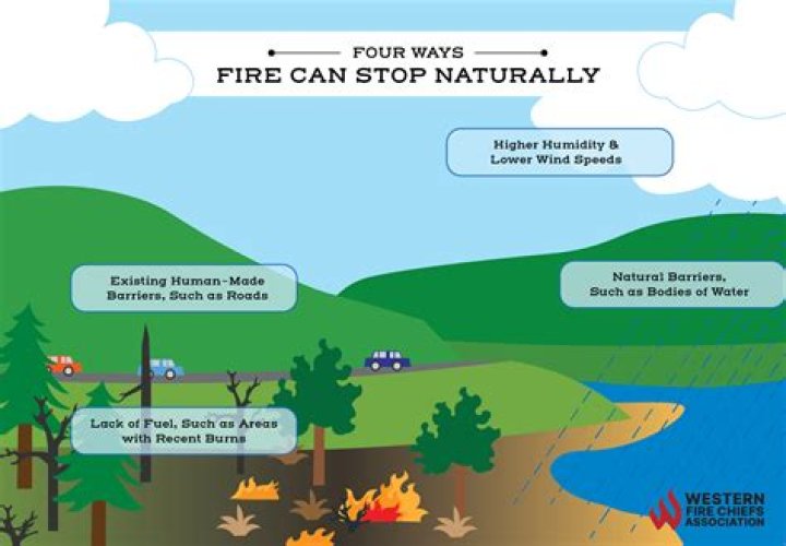 What is it called when firefighters try to stop the spread of a wildfire?