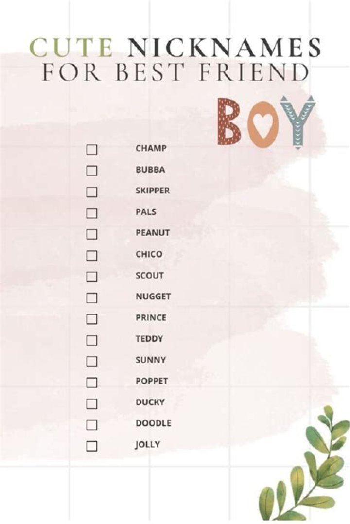 What is Lana a nickname for?