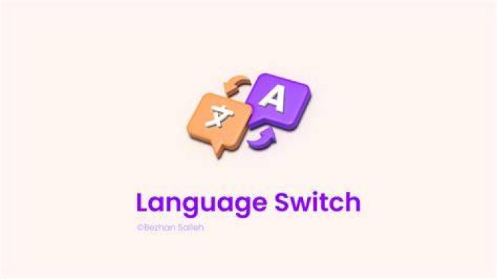 What is language switch?
