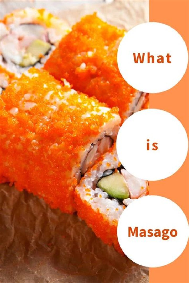 What is Masago?