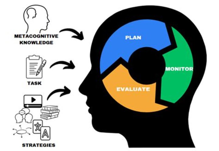 What is metacognitive monitoring?