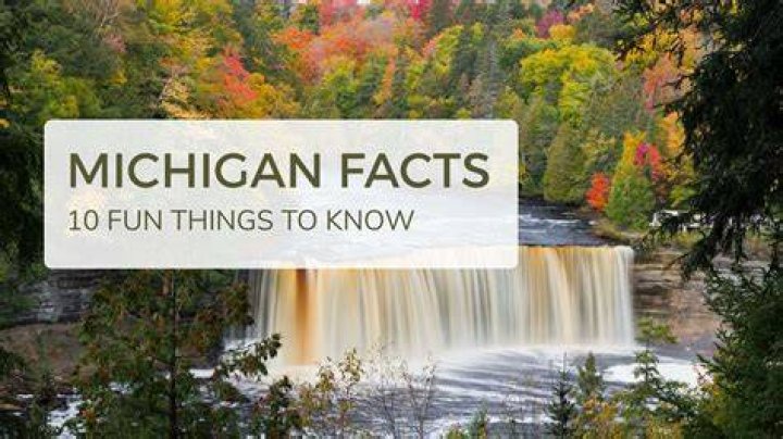 What is Michigan's state gem?